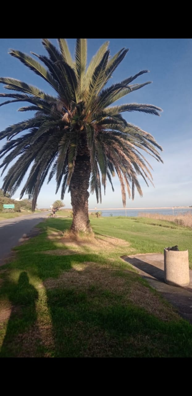 Commercial Property for Sale in Aston Bay Eastern Cape
